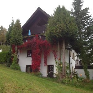 Apartamento Waldblick Tannenberg Exterior photo