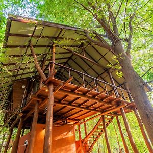 Kaala Kalaththewa Luxury Eco Resort Anuradhapura Exterior photo