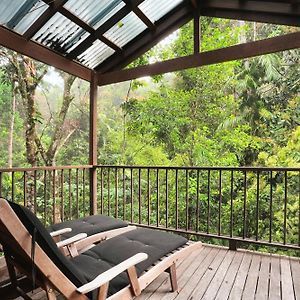 Kuranda Rainforest Chalet Villa Exterior photo