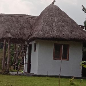 Wakanda Cottage Kibale Fort Portal Exterior photo