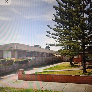 Two Pines, Whole Home In Tullamarine Near Airport! Melburne Exterior photo