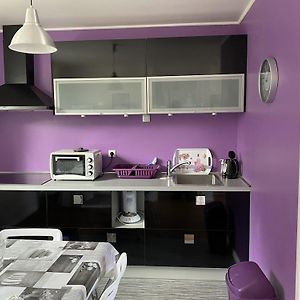 Apartamento T2 Confortable Avec Wifi, Au Centre De La Roche-Posay, A Proximite Des Thermes Et Parking Gratuit - Fr-1-541-93 Exterior photo