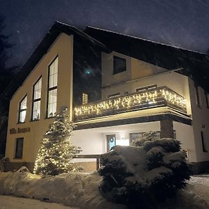 Apartamento Vila Jensen Harrachov Exterior photo