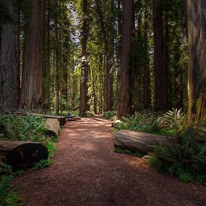 Redwood Oasis, Grove And Nook Villa Felton Exterior photo