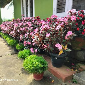 Praplia Homestay Ammathi,Coorg Ammatti Exterior photo