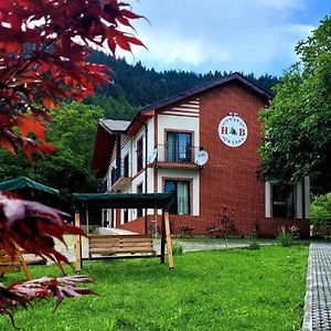 Hotel Holiday Borjomi Exterior photo