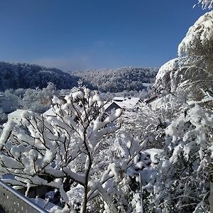 Apartamento Blick Ins Wutachtal Wutoschingen Exterior photo