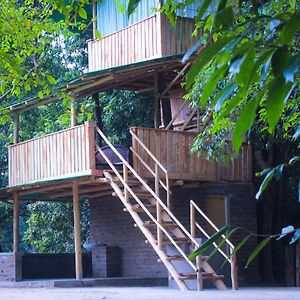 Forest Tree Top Holiday Resort Buttala Exterior photo