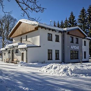 Hotel Penzion Apidae Destne v Orlickych horach Exterior photo