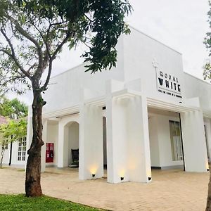 New Royal White Hotel Anuradhapura Exterior photo