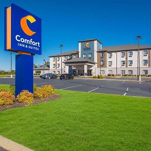 Comfort Inn & Suites Cave City Exterior photo