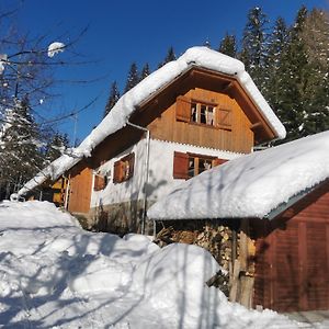 Apartamento Pohorje House 2 Four Appartmetns Oplotnica Exterior photo