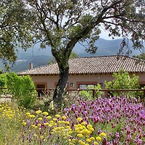 Casa Rural La Joyona Villa Los Navalucillos Exterior photo