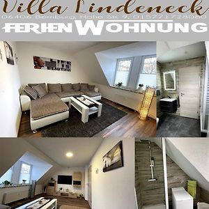 Villa Lindeneck Superior Bernburg Exterior photo