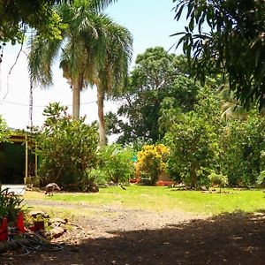 La Casa de Vida Natural Bed and Breakfast Río Grande Exterior photo