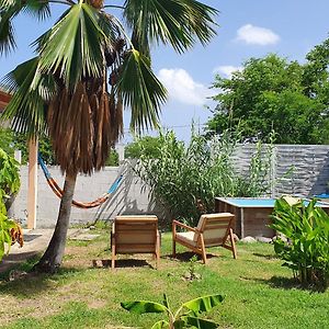 Les Ti Kaz a Papé choisissez avec ou sans piscine Villa Deshaies Exterior photo