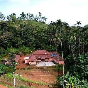Badamane Jungle Stay - Jeep Ride & Mountain View Chikmagalūr Exterior photo