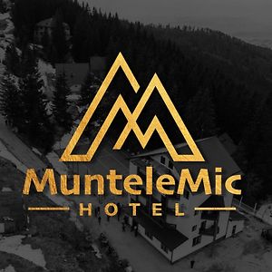 Hotel Muntele Mic Borlova Exterior photo