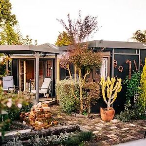 Starry Nights Cabin Fever Villa Waikino Exterior photo