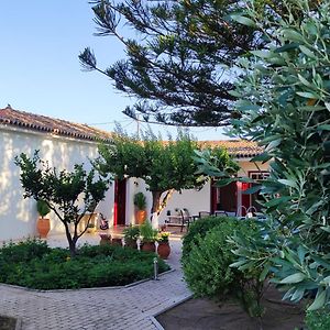 Mediterranean House With Beautiful Garden Karlovassi Exterior photo