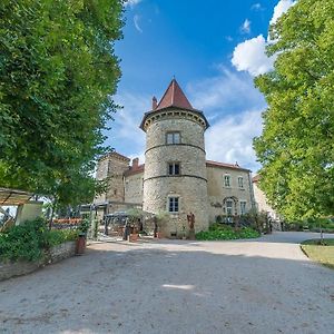 Hotel Chateau Chapeau Cornu Vignieu Exterior photo