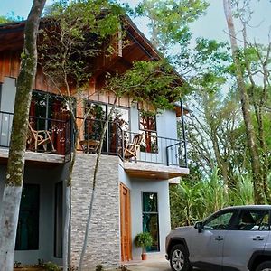Casa De Montana Roca Verde Monteverde Exterior photo