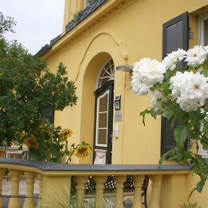 Apartamento Gutshaus Mit Seeblick - Oekologisch & Nachhaltig Lubow Exterior photo