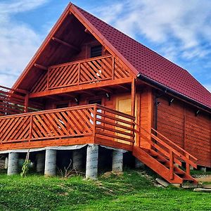 Apartamento Domki Całoroczne Daglezja Pod Górą Żar Miedzybrodzie Zywieckie Exterior photo