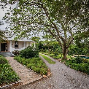 Mimosa Bed and Breakfast Grahamstown Exterior photo
