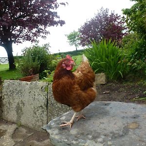 Kidwelly Farmhouse B&B Exterior photo