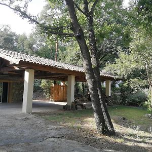 Apartamento L'Atelier En Cevennes - Logement 55M2 Deaux Exterior photo