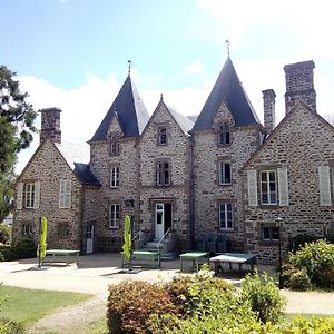 Chateau Du Bourg Bed and Breakfast Saint-Denis-de-Gastines Exterior photo