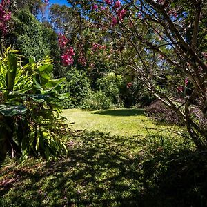 Apartamento Tranquil Rainforest Studio Kuranda Exterior photo