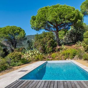 Villa Avec Piscine Privee Pres De La Plage De Cavaliere - Fr-1-677-45 Le Lavandou Exterior photo