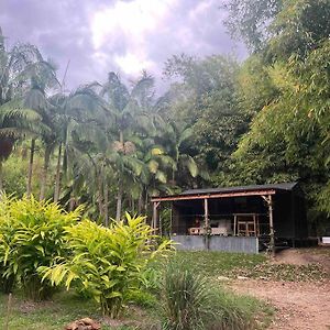 Whispering Palms, Luxury Tiny Home Crabbes Creek Exterior photo