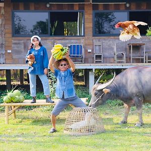 Hang Tueng Farm Stay Chiang Mai แฮงตึง ฟาร์มสเตย์ เชียงใหม่ Exterior photo