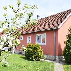 Daria'S Countryside Home Nikšić Exterior photo