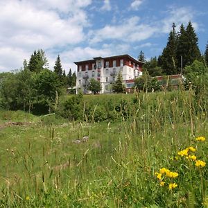 Das Waldhotel - Genuss & Wellness Am Notschreipass Todtnau Exterior photo