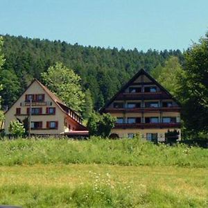 Hotel Gasthof Erlenhof Alpirsbach Exterior photo