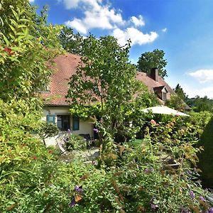 Cosy Holiday Home With Gazebo Weißenburg in Bayern Exterior photo