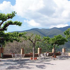 Hotel Hostal Montserrat Montseny Exterior photo