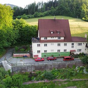 Hotel Jandlova Vila Frenštát pod Radhoštěm Exterior photo