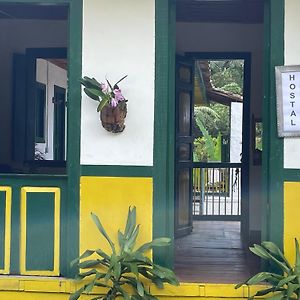 Hotel Bosque De Niebla Pijao Exterior photo