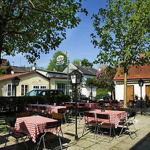 Hotel Gasthof Bauer Steyr Exterior photo