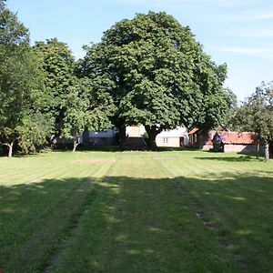 Greby Bed & Breakfast Bed and Breakfast Räpplinge Exterior photo