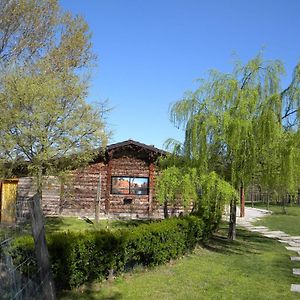 Cascina Beneficio Villa Castelnuovo Bormida Exterior photo