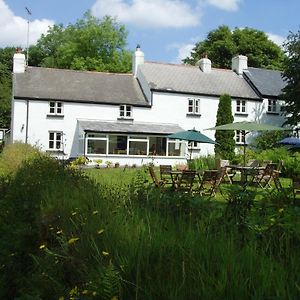 Beechwood B&B Postbridge Exterior photo