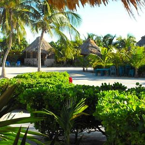 Hotel Costa De Cocos Xcalak Exterior photo