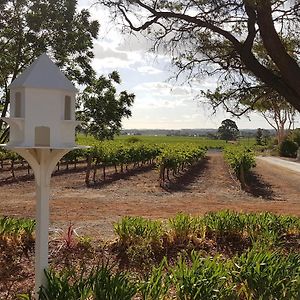 'In The Vines' Guest Cottage, Barossa Valley Light Pass Exterior photo