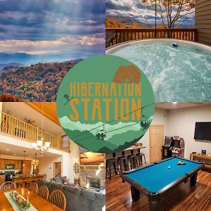 Hibernation Station - Mtn Views Near Asheville! Swiss Exterior photo